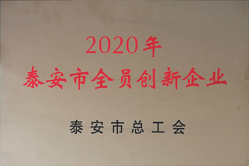 2020年泰安市全員創新企業